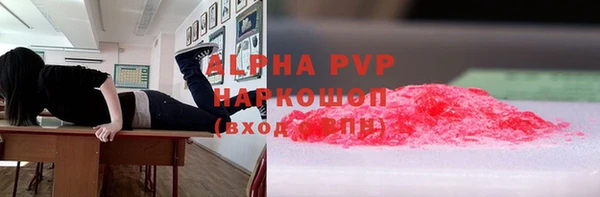 стаф Верея