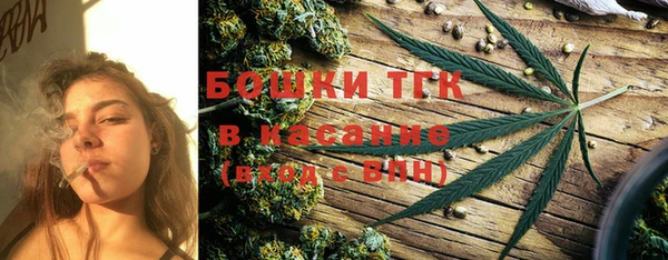стаф Верея