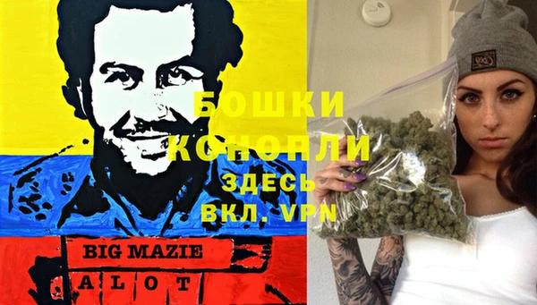 стаф Верея