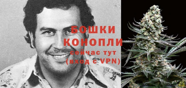 стаф Верея