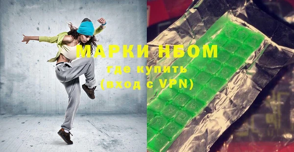 стаф Верея
