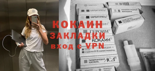 стаф Верея